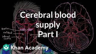 Cerebral blood supply Part 1  Circulatory System and Disease  NCLEXRN  Khan Academy [upl. by Manus]