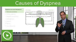 Causes of Dyspnea – Pulmonary Pathology  Lecturio [upl. by Dett]