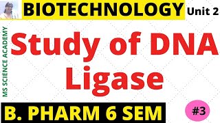 Study of DNA Ligase Pharmaceutical BiotechnologyUnit 2 B Pharmacy 6 SemLect3 [upl. by Reiss]