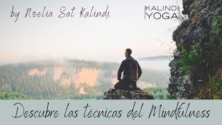 Descubre las Técnicas de Mindfulness Un Camino hacia el Bienestar 🧘🏻‍♀️ [upl. by Odnanref363]