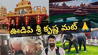 శ్రీ కృష్ణ మాట్ ఉడిపి ఫుల్ టూర్ ప్లాన్ viralvideo telugutraveller like subscribe travel [upl. by Avot]