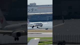 JAL JA323J B737846 from Kushiro japan tokyo love airport airplane haneda landing 737 fly [upl. by Dorreg]