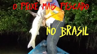 vídeo que todo pescador gosta no Brasil e no mundomuito peixe [upl. by Ddart]