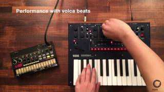 KORG monologue 4  Performance with volca beats [upl. by Annaillil]