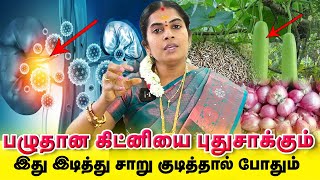 Kidney Failure  🧅Small Onion 🥒Bottle Gourd  Rejuvenate Damaged Kidney  Tamil [upl. by Kenwood]