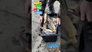 Karpiowe El Dorado  Карп Эльдорадо carpfishing carp карп fish рыбалка fishing love travel [upl. by Shir]