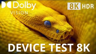 HIGH RANGE DEVICE TEST 8K Ultra HD 240 FPS Dolby Vision Testing TV Mobile Supported devices [upl. by Bari]