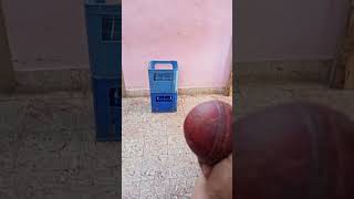 Tha stumper ball and leather ball 😭😭🏏🏏🏏👆👆👆👆👆 [upl. by Enyaz]