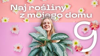 🏡 Łatwe i piękne rośliny Nie było ich na kanale  fav plants [upl. by Leveridge]