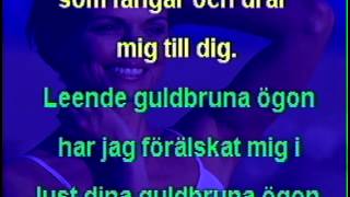 Leende guldbruna ögon karaoke [upl. by Nagear]