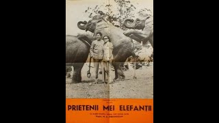 Prietenii mei elefanții 1971 [upl. by Anidualc]