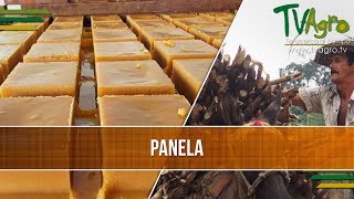 Cual es el Proceso de Elaboracion de la Panela  TvAgro por Juan Gonzalo Angel [upl. by Platto]