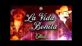 La Vida Bonita  Los Dos Carnales [upl. by Anilrahc]