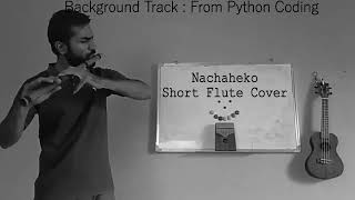 Nachaheko hoina timilai flute music [upl. by Eckblad]