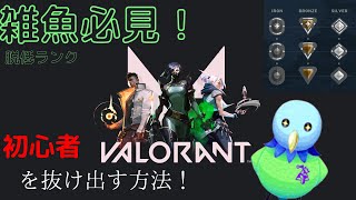 VALORANT低ランクから抜け出せない人必見！初心者から抜け出す為の解説！ [upl. by Ramoh]