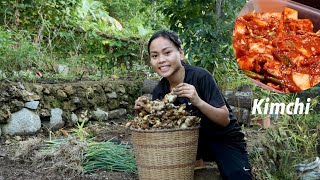 Harvesting Making Kimchi in Tropical Country Bohol Philippines Calming Dinner in the Countryside [upl. by Bobbee]