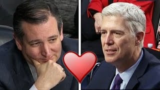 Ted Cruz Gushes All Over Neil Gorsuch [upl. by Idnahs]