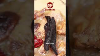 The Differences between Ganoderma lucidum and Ganoderma sinense [upl. by Chan]