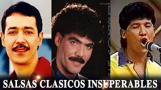 SALSAS CLASICAS INSUPERABLES  WILLIE GONZALEZ EDDIE SANTIAGO HILDEMARO  LO MEJOR SALSA ROMANTICA [upl. by Payson]