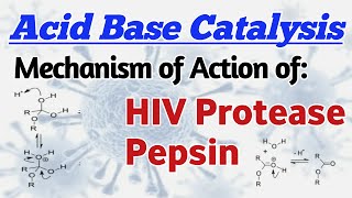 Acid Base Catalysis Mechanism of Action of HIV Protease Action of Aspartic protease family enzymes [upl. by Htaek489]