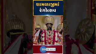 યાત્રાધામ શામળાજી ખાતે રંગોત્સવની ઉજવણી ભગવાન પર ચાંદીની પિચકારીથી લગાવાયો રંગ shorts [upl. by Trillbee]