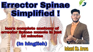 Back musculature  Erector Spinae Simplified  Anatomy  Ishant Kumar Arora  PhyX Pain Solutions [upl. by Acinna]