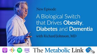 A Biological Switch that Drives Obesity Diabetes and Dementia  The Metabolic Link Ep 39 [upl. by Enal]