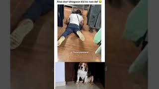 Breezer my beautiful baby video viral sorts pyaar ♥️ [upl. by Gow771]