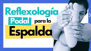 ✅ CÓMO ALIVIAR el DOLOR de ESPALDA con Reflexología podal 🦶 [upl. by Natale840]