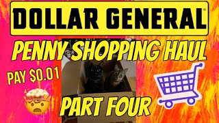 DOLLAR GENERAL PENNY SHOPPING HAUL PART FOUR🔥HIDDENISH PENNY ITEMS🤯PAY 001 PER ITEM🚨 [upl. by Fitton]