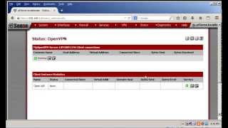 Connecting To pfSensebased OpenVPN Server From a Windows Client [upl. by Avis]