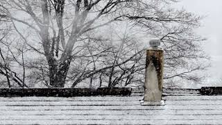 Snow fall through chimney smoke [upl. by Accissej262]