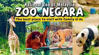 Zoo Negara Kuala Lumpur  Best Things to do in Kuala Lumpur Malaysia [upl. by Nylirahs]