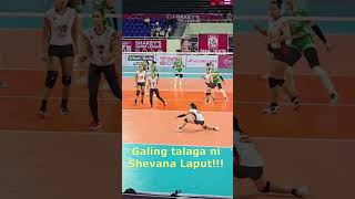 Shevana Laput dlsu vs admu • SSL2024 • Nov 3 2024 • shakeyssuperleague volleyball shorts [upl. by Darn148]