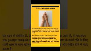 कपोत मुद्रा के लाभ हमारे हदय कोkapat mudra is related to the heartshorts youtubeshorts mudra [upl. by Idoc847]