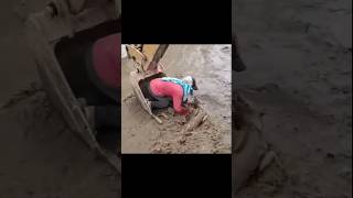 இரு உயிர் போராட்டம் savedogs saved shorts trending viral rain [upl. by Amary590]