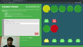 Flexbox froggy all 24 levels [upl. by Edris]