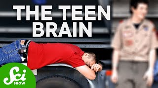 How Teenagers Brains Are Actually Wired Differently [upl. by Hoeg]