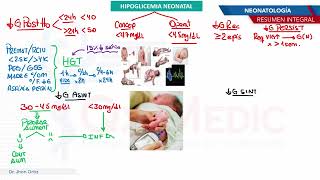 Neonatología  Hipoglicemia neonatal [upl. by Eseilana911]