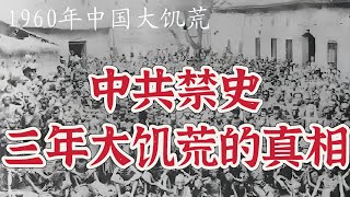 中共禁史：三年大饥荒的真相 [upl. by Keene]