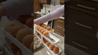 best egg holder for fridge storage from Temu egg storage [upl. by Erehs860]