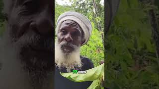 😲77yo Rastafarian reveals SECRET to his perfect HEALTH🍈 FULL VIDEO in description Noni [upl. by Duester261]