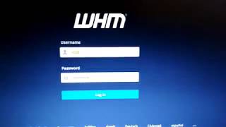 WHM Loading Problem  Broken WHM [upl. by Hillinck]