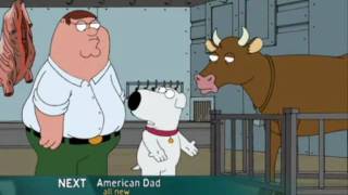 Family Guy S06E08  McStroke  Dacow scene [upl. by Anifad]