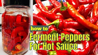 How to Ferment Peppers for Hot Sauce part 1 [upl. by Basso]