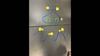 AP Bio ACh Signal Pathway Explanation [upl. by Ytinirt]