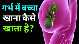 Placenta Vs Umbilical cord  Dheeraj Kumar [upl. by Husha988]