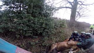 Horse Rescue by Shropshire Firefighters [upl. by Arlie667]