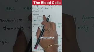 The Blood Cells ll Difference between RBC and WBC shorts youtubeshorts [upl. by Treharne903]