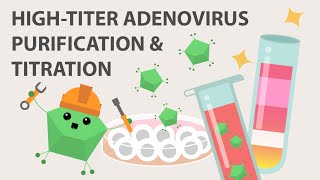 Hightiter Adenovirus and Titration [upl. by Rayshell]